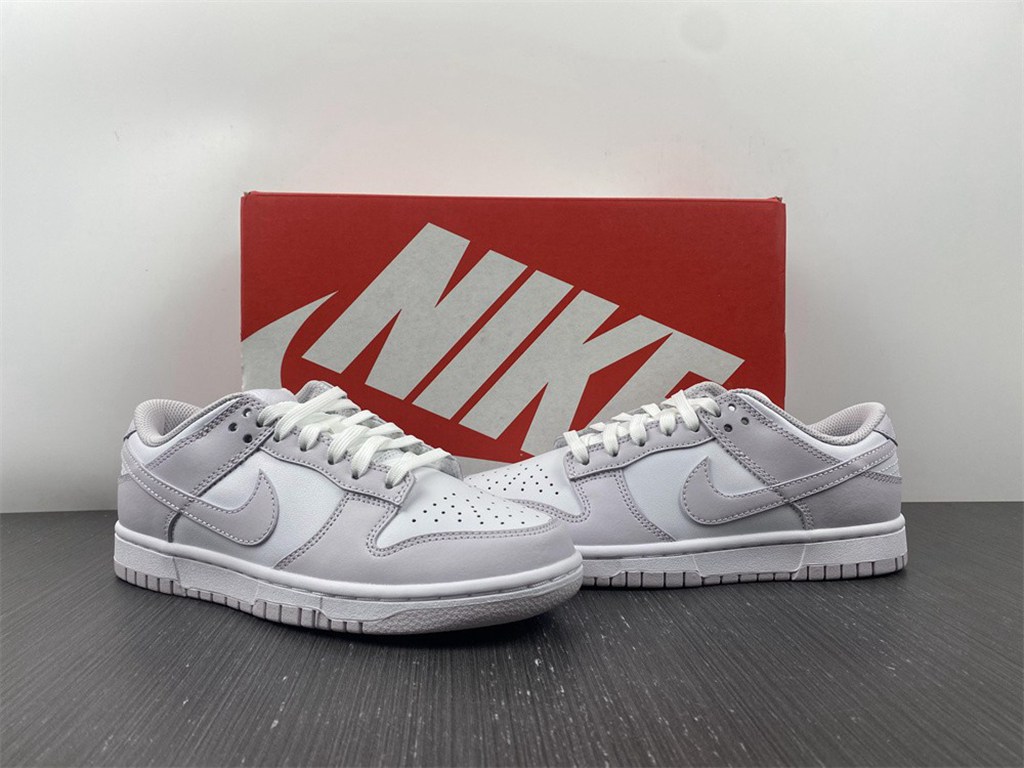 NIKE DUNK LOW  DD1503-116